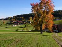 Wanderroute zur Streusiedlung Reichenau am Freiwald 