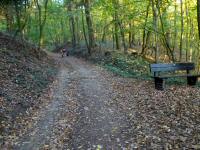  Wanderroute durch den Schlosswald 