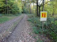  Wanderroute durch den Kaltenbrunner Wald 