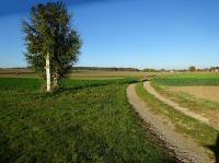  Blick zum Seekreuz an der Wanderstrecke  