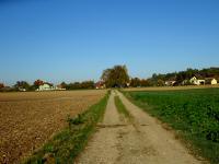  Wanderroute nach Sachsendorf 