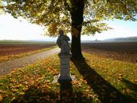 Blick zum Figurenbildstock heiliger Donatus bei Sachsendorf 