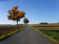  Wanderroute kurz auf der Landstrae 