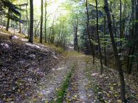  Wanderroute durch den Schlosswald 