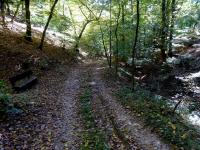  Wanderroute durch den Schlosswald 