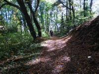  Wanderroute durch den Schlosswald 