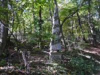  Blick zu dem Obelisk im Schlosswald 