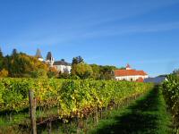 Blick zum Schloss Maissau  und zur kath. Pfarrkirche heiliger Veit 