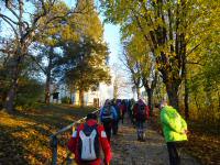  Wanderroute zur Pfarrkirche Ladendorf 