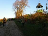 Wanderroute auf dem Johann Schusterweg - vorbei an der Aussichtwarte Ladendorf 