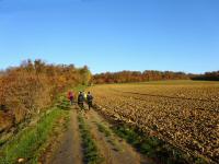  Wanderroute durch die Riede Wolfseck 