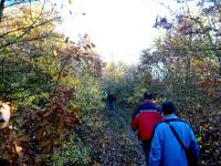  Wanderroute durch den Leiser Wald 