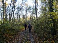  Wanderroute durch den Leiser Wald 