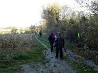  Wanderroute am Rande der Riede Schlucht 