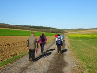  Wanderroute zum Wald - Kuchelholz 