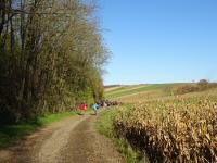  Blick zur 1. Labestelle am Waldesrand von Kuchelholz 