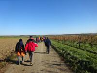  Wanderroute nach Siebenhirten 