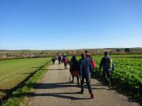  Wanderroute nach Siebenhirten 