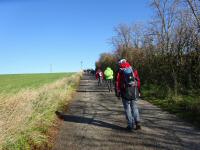  Wanderroute auf den Weinberg 