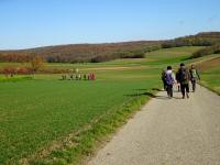  Wanderroute durch die Riede Haidfeld 