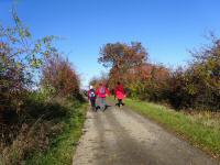  Wanderroute durch die Riede Zehrwand 