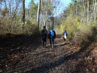  Wanderroute durch die Auslufer des Staatzer Grund 