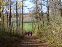  Wanderroute durch die Auslufer des Staatzer Grund 