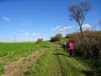  Wanderroute durch die Riede Hartal 