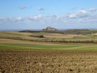  Fernblick zur Burgruine Staatz 