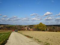  Wanderroute nach Waltersdorf bei Staatz 