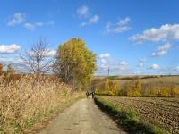  Wanderroute nach Waltersdorf bei Staatz 