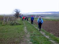  Wanderroute nach Enzersdorf bei Staatz 