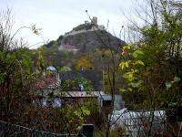  Fernblick zur Burgruine Staatz 