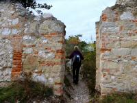  Blick auf den Burg - Aufstieg 