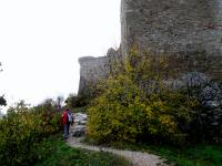 Blick auf den Burg - Aufstieg 