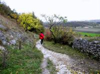  Blick auf den Abstieg von der Burgruine 