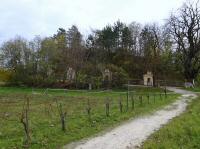 Blick zum Kalvarienberg mit den Kreuzwegstationen von Enzersdorf  bei Staatz 