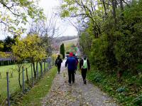  Wanderroute bei Ernsdorf bei Staatz 