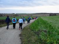  Wanderroute Richtung Frttingsdorf 