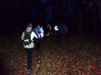 Wanderroute bei Dunkelheit durch den Wald von Kuchlholz 