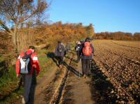  Wanderroute durch die Riede Wolfseck 