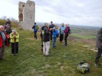  Blick auf die Wandergruppe auf der Burgruine Staatz 