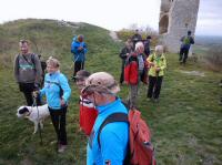  Blick auf die Wandergruppe auf der Burgruine Staatz 