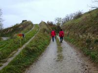  Blick auf die Wanderstrecke am Sauberg 