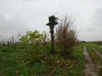  Blick zum Feldkreuz Neuberg 