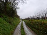 Blick auf die Wanderstrecke am Ende des Khsteingrabens 