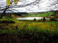  Blick zum Golfplatz mit dem Silbersee 