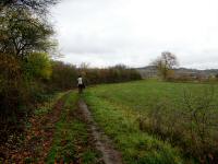  Wanderroute am Galgenberg Richtung Lengenfeld 