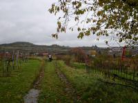  Wanderroute am Galgenberg Richtung Lengenfeld 