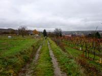  Wanderroute am Galgenberg Richtung Lengenfeld 